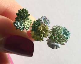 1" scale (1:12) succulents kit 1" scale (1:12) succulents kit