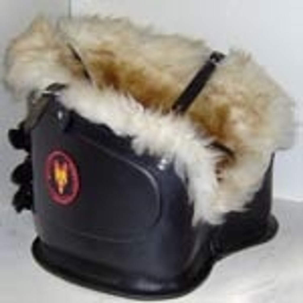 Dog Carrier | Motorcycle Dog Carriers for Dogs ...