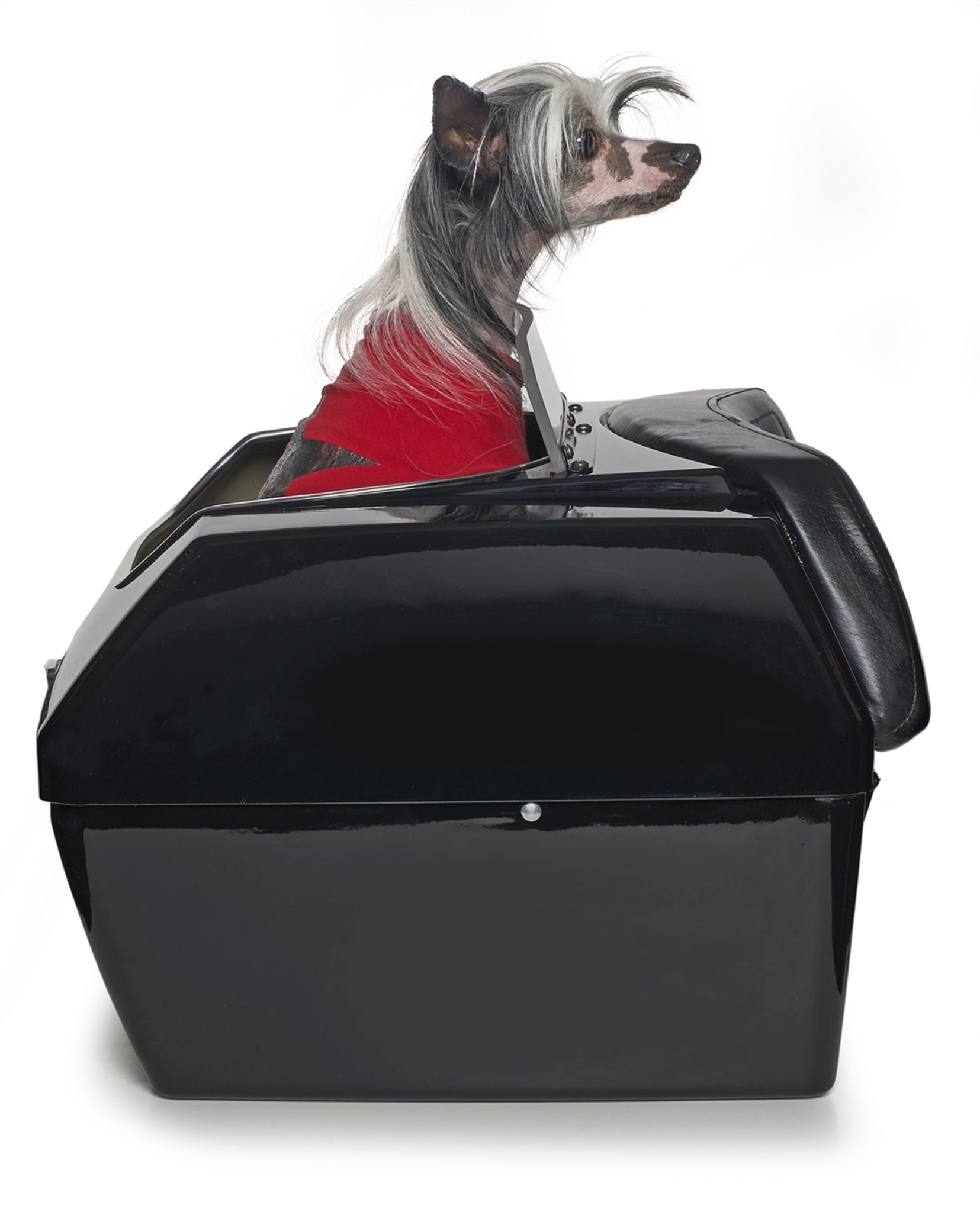 Large Motorcycle Pet Carrier | Motorcycle Dog Carriers