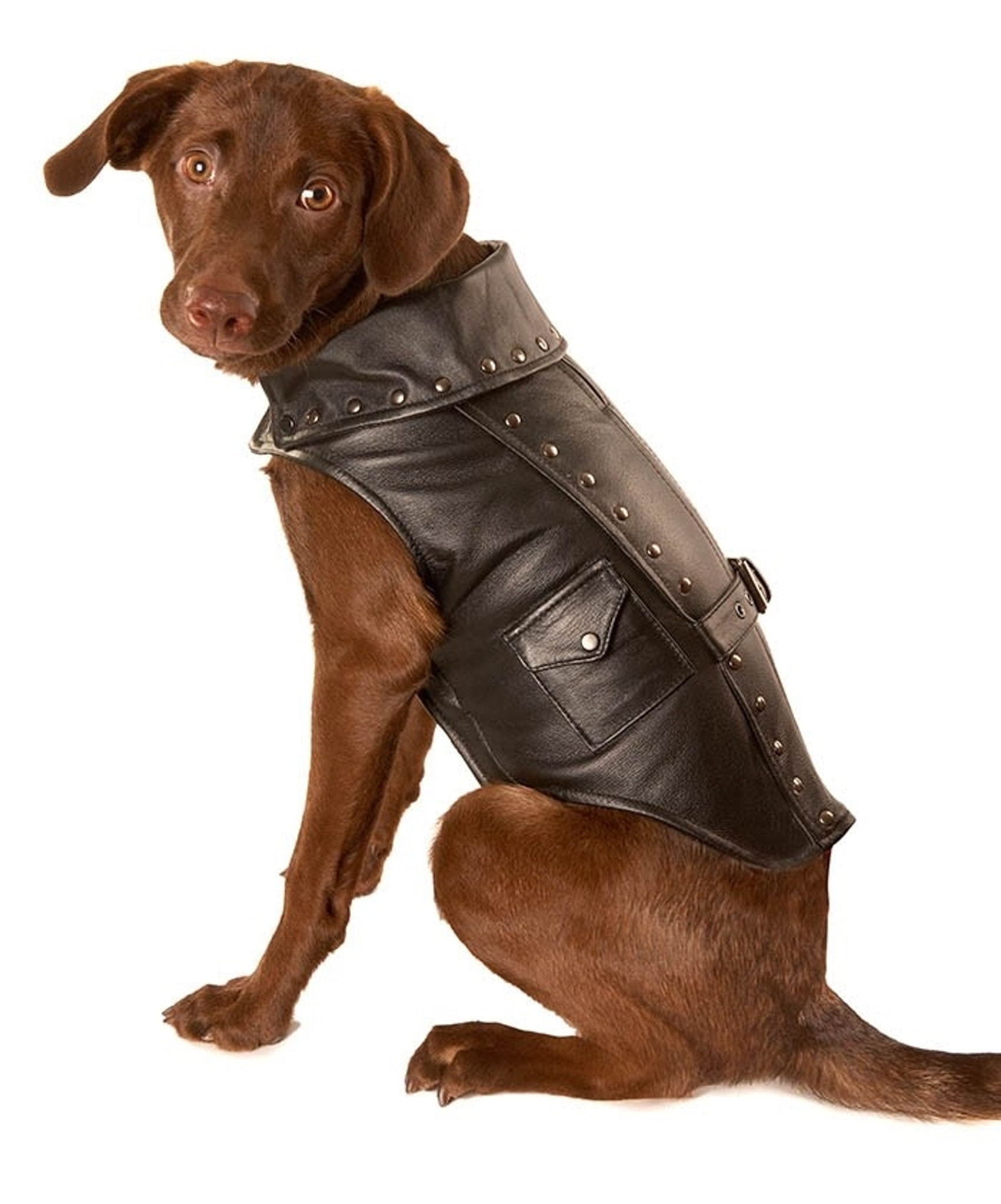Dog Jacket | Black Leather Motorcycle Dog Jacket