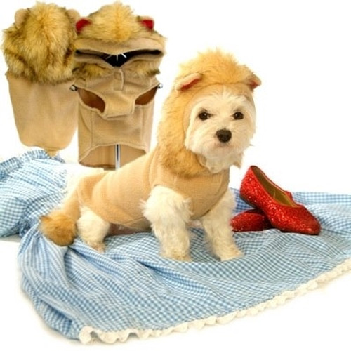 Lion Dog Hoodie