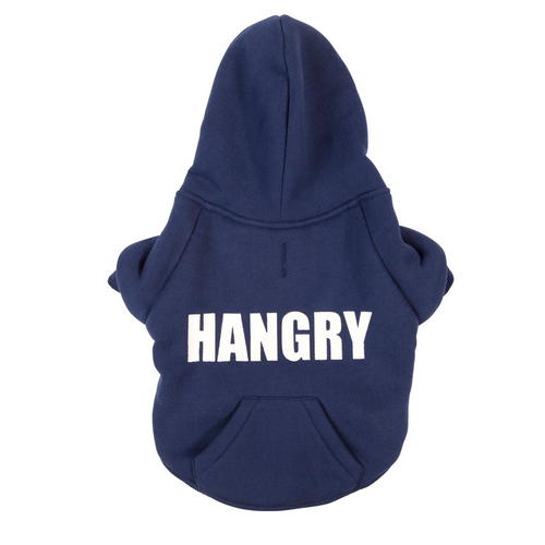 Dog Hoodie | Rock Star Dog Hoodie