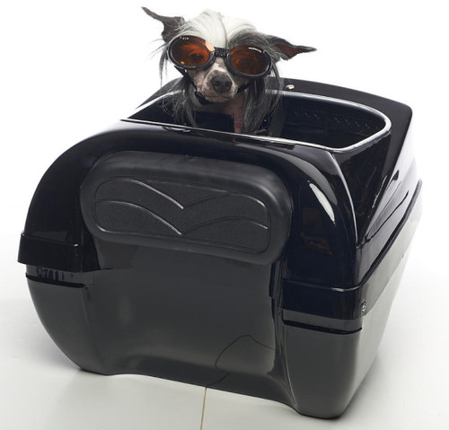 Motorcycle Dog Carrier | Motorcycle Pet Carrier
