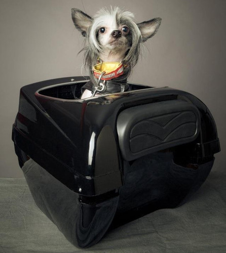 Motorcycle Pet Carrier