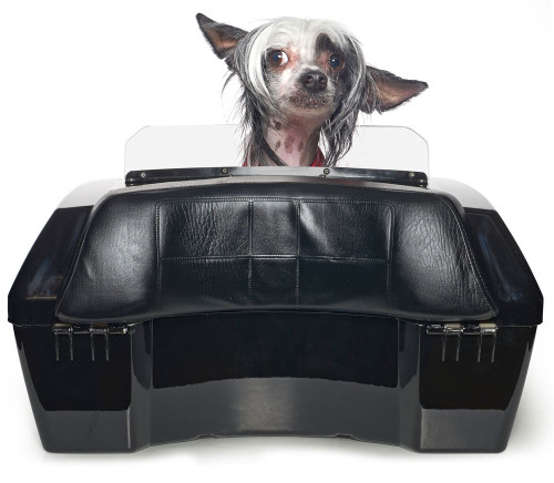 Large Motorcycle Dog Carrier