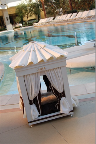 Royal Cabana Dog Bed