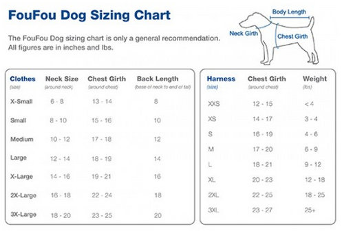 Shiny Puffer Dog Coat