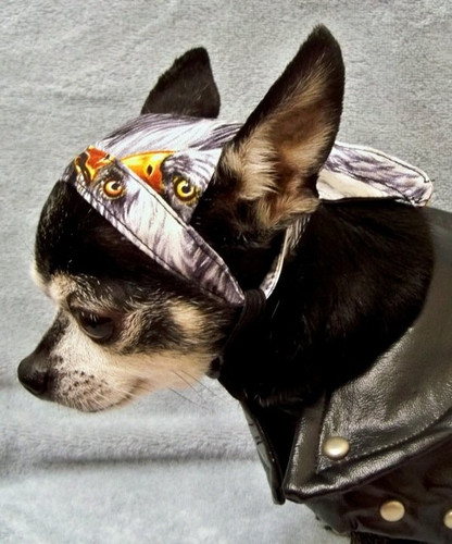 Eagle Doo Rag for Dogs