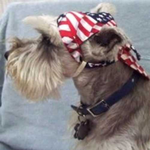 American Flag Dog Doo Rag