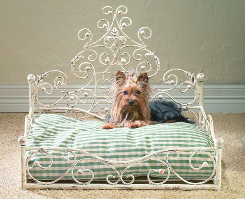 wrought iron dog bed