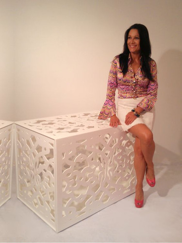 luxury Designer Dog Crate