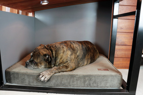 luxury dog house