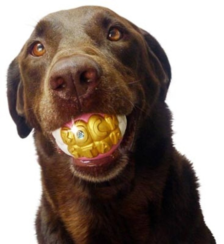Dog Toy Ball