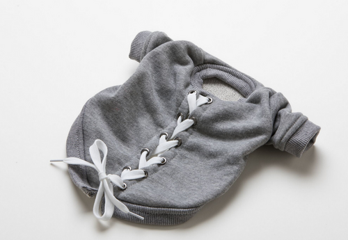 lace up dog sweatshirt