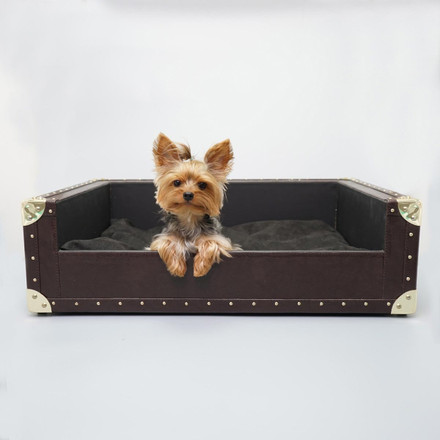 Should You Let Your Dog Sleep with You?